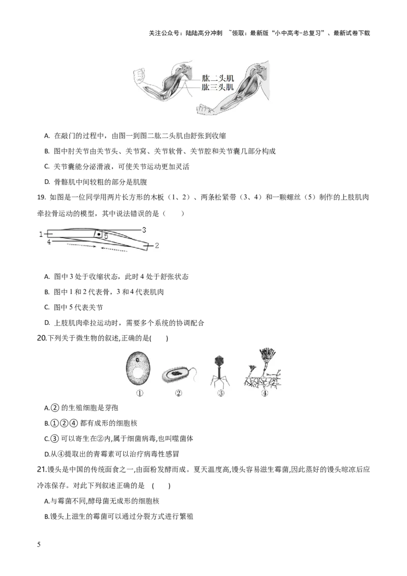 模块五生物的多样性（测试）（原卷版）_02中考总复习（2026版更新中）_08-生物-中考总复习_2024年中考复习资料_一轮复习_❤2024年中考生物一轮复习讲练测（全国通用）_练习