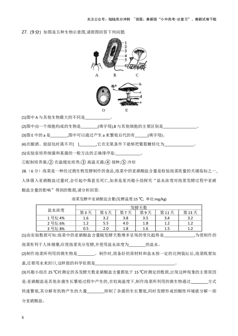 模块五生物的多样性（测试）（原卷版）_02中考总复习（2026版更新中）_08-生物-中考总复习_2024年中考复习资料_一轮复习_❤2024年中考生物一轮复习讲练测（全国通用）_练习