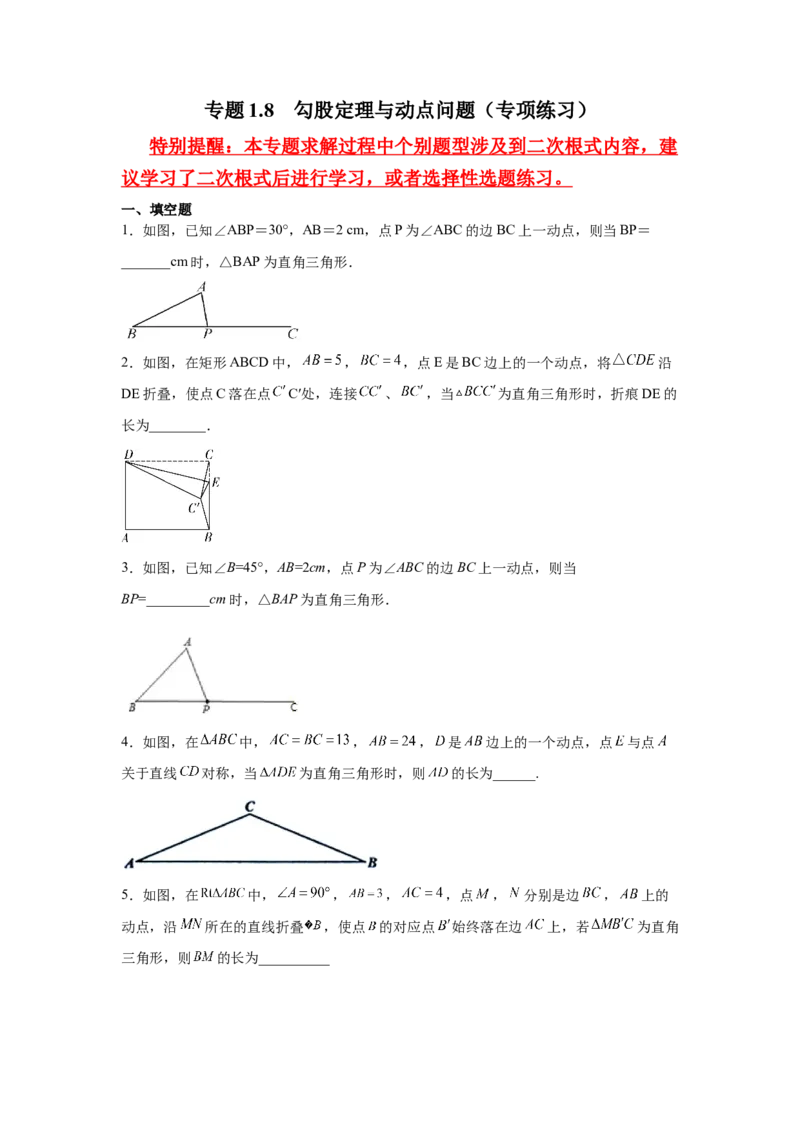 专题1.8勾股定理与动点问题（专项练习）-2021-2022学年八年级数学上册基础知识专项讲练（北师大版）_北师大初中数学_8上-北师大版初中数学_旧版_06专项讲练