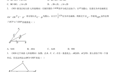 专题强化训练二全等三角形的判断和性质各类问题-七年级数学下册《考点&bull;题型&bull;技巧》精讲与精练高分突破（北师大版）_北师大初中数学_7下-北师大版初中数学_06专项讲练