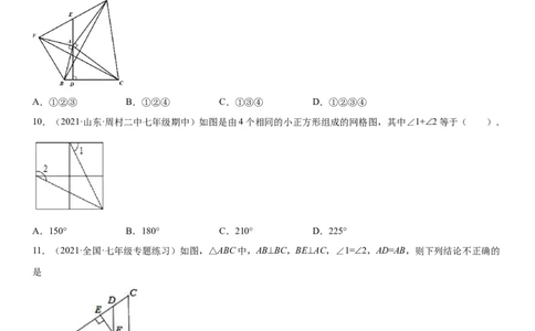 专题强化训练二全等三角形的判断和性质各类问题-七年级数学下册《考点&bull;题型&bull;技巧》精讲与精练高分突破（北师大版）_北师大初中数学_7下-北师大版初中数学_06专项讲练