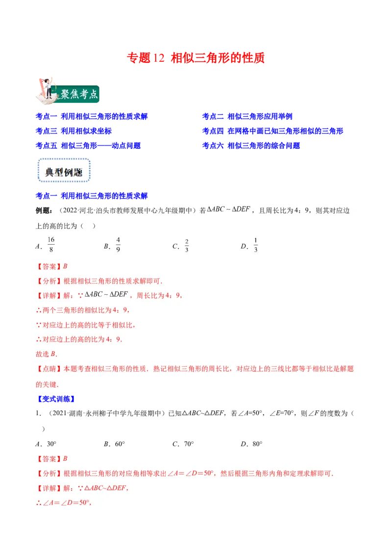 专题12相似三角形的性质(解析版)_北师大初中数学_9上-北师大版初中数学_06专项讲练_学霸满分2022-2023学年九年级数学上册重难点专题提优训练（北师大版）