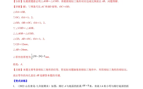 专题12相似三角形的性质(解析版)_北师大初中数学_9上-北师大版初中数学_06专项讲练_学霸满分2022-2023学年九年级数学上册重难点专题提优训练（北师大版）