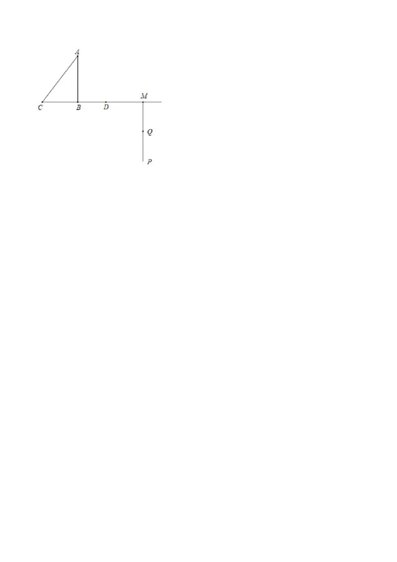 专题1.8三角形的证明与计算大题专练（重难点培优）-八年级数学下册尖子生同步培优题典（原卷版）北师大版_北师大初中数学_8下-北师大版初中数学_旧版-可参考_05习题试卷