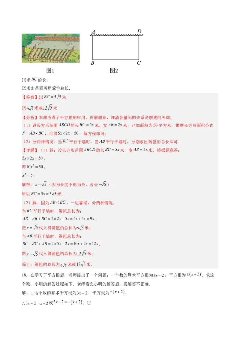 专题2.3平方根（高效培优讲义）（教师版）_北师大初中数学_8上-北师大版初中数学_初中数学北师大8上-2025秋季新版_第二套推荐25_08专项讲练_北师大版2025秋培优专项讲义（更新中）