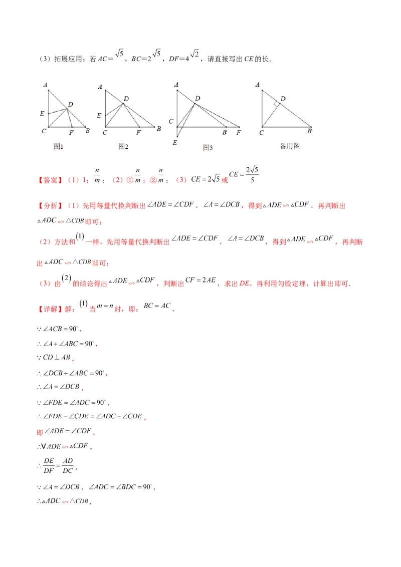 专题10相似三角形的基本六大模型(解析版)_北师大初中数学_9上-北师大版初中数学_06专项讲练_学霸满分2022-2023学年九年级数学上册重难点专题提优训练（北师大版）