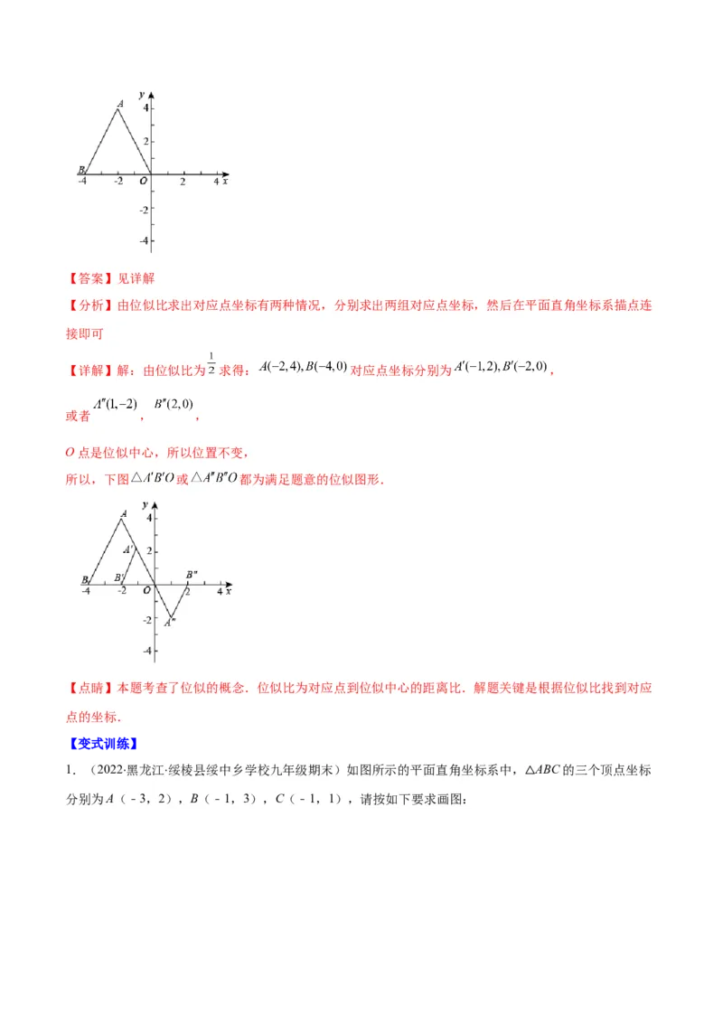 专题13图形的位似(解析版)_北师大初中数学_9上-北师大版初中数学_06专项讲练_学霸满分2022-2023学年九年级数学上册重难点专题提优训练（北师大版）