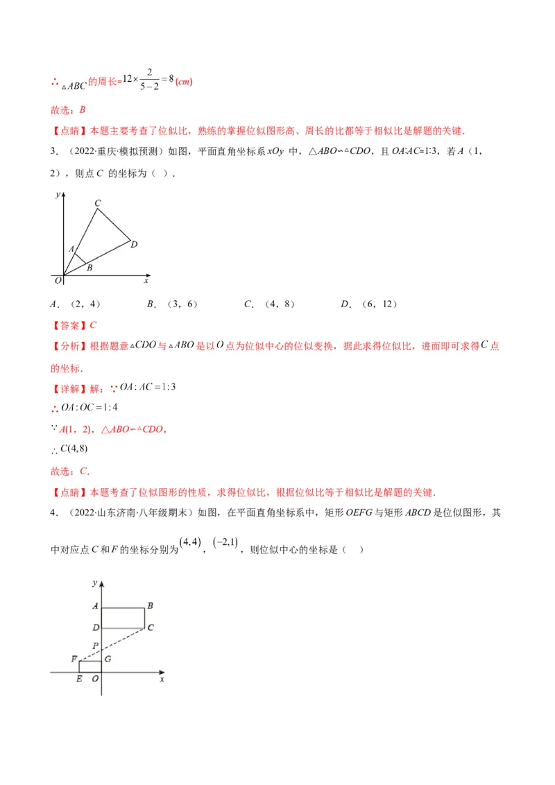 专题13图形的位似(解析版)_北师大初中数学_9上-北师大版初中数学_06专项讲练_学霸满分2022-2023学年九年级数学上册重难点专题提优训练（北师大版）