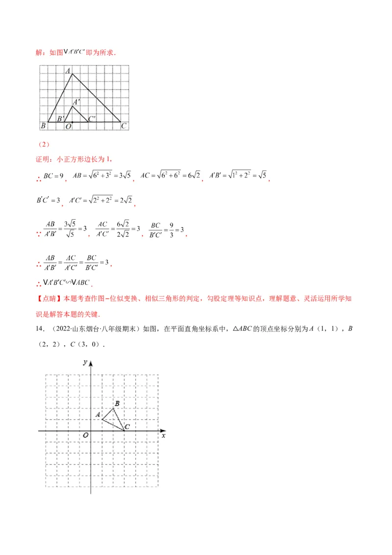 专题13图形的位似(解析版)_北师大初中数学_9上-北师大版初中数学_06专项讲练_学霸满分2022-2023学年九年级数学上册重难点专题提优训练（北师大版）