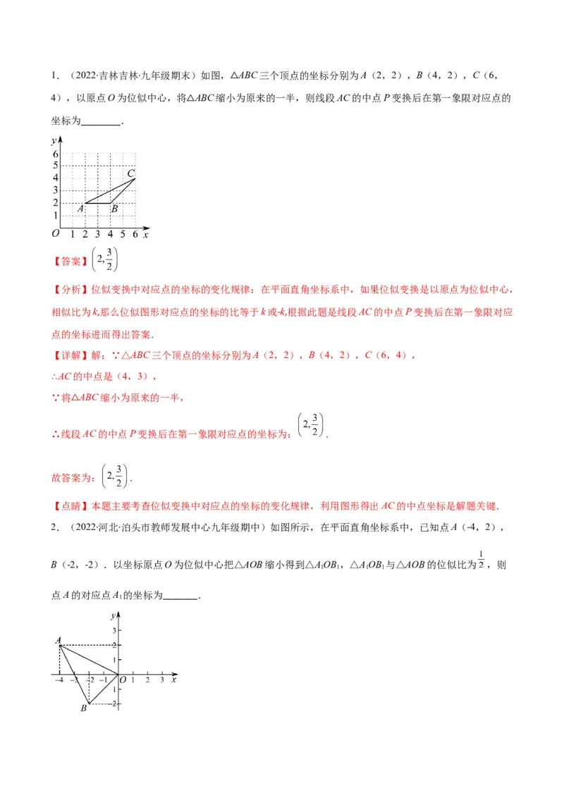 专题13图形的位似(解析版)_北师大初中数学_9上-北师大版初中数学_06专项讲练_学霸满分2022-2023学年九年级数学上册重难点专题提优训练（北师大版）