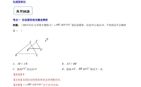 专题13图形的位似(解析版)_北师大初中数学_9上-北师大版初中数学_06专项讲练_学霸满分2022-2023学年九年级数学上册重难点专题提优训练（北师大版）