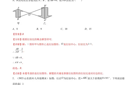 专题13图形的位似(解析版)_北师大初中数学_9上-北师大版初中数学_06专项讲练_学霸满分2022-2023学年九年级数学上册重难点专题提优训练（北师大版）