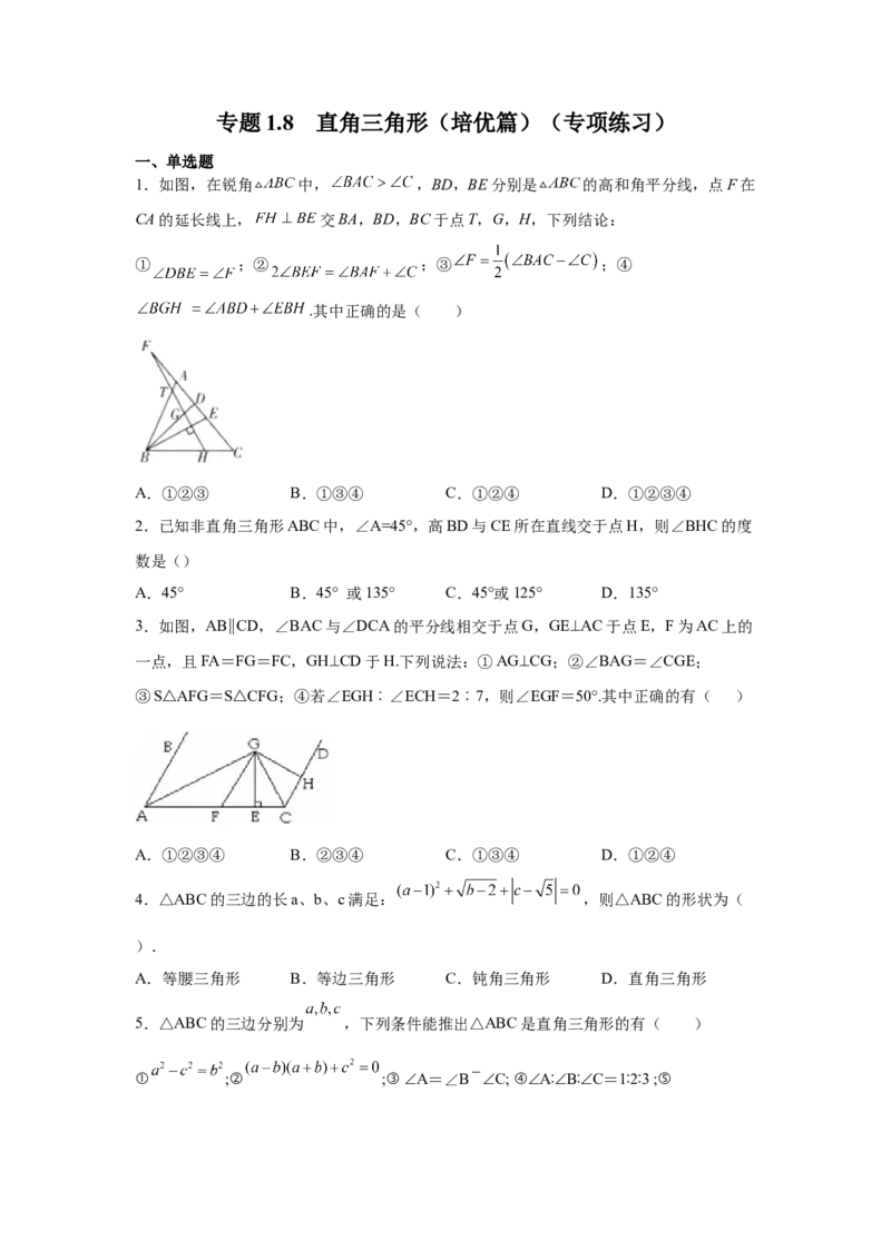 专题1.8直角三角形（培优篇）（专项练习）-八年级数学下册基础知识专项讲练（北师大版）_北师大初中数学_8下-北师大版初中数学_旧版-可参考_05习题试卷_1课时练习_同步练习（第3套）