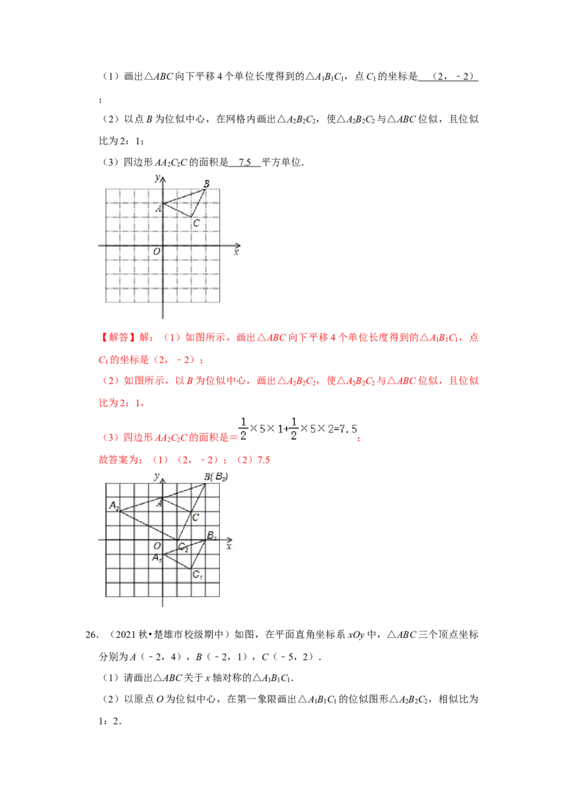 专题4.3图形的位似（能力提升）（解析版）_北师大初中数学_9上-北师大版初中数学_06专项讲练_2022-2023学年九年级数学上册《同步考点解读&bull;专题训练》（北师大版）