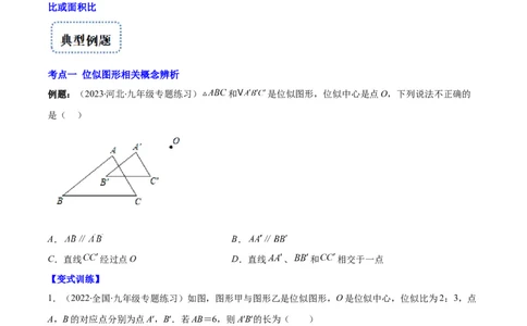 专题13图形的位似(原卷版)_北师大初中数学_9上-北师大版初中数学_06专项讲练_学霸满分2022-2023学年九年级数学上册重难点专题提优训练（北师大版）