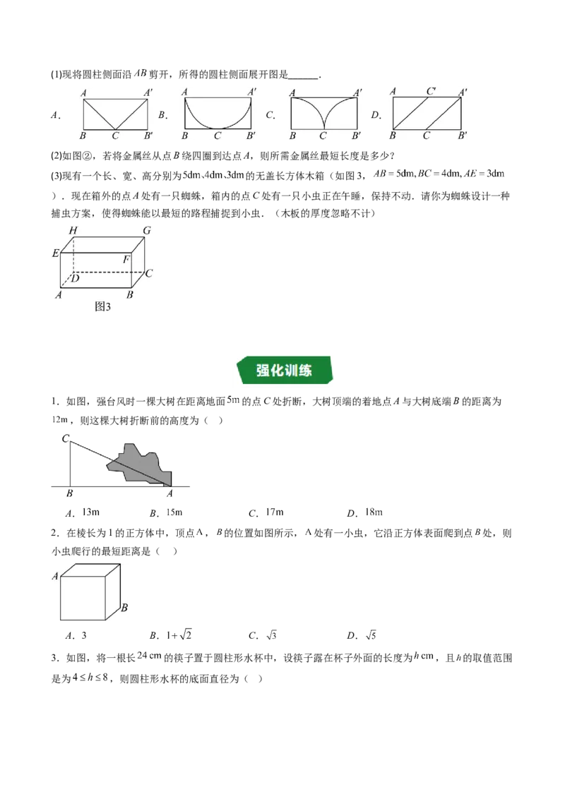 专题1.3勾股定理的应用（高效培优讲义）（学生版）_北师大初中数学_8上-北师大版初中数学_初中数学北师大8上-2025秋季新版_第二套推荐25_08专项讲练