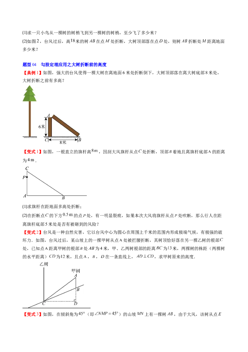 专题1.3勾股定理的应用（高效培优讲义）（学生版）_北师大初中数学_8上-北师大版初中数学_初中数学北师大8上-2025秋季新版_第二套推荐25_08专项讲练
