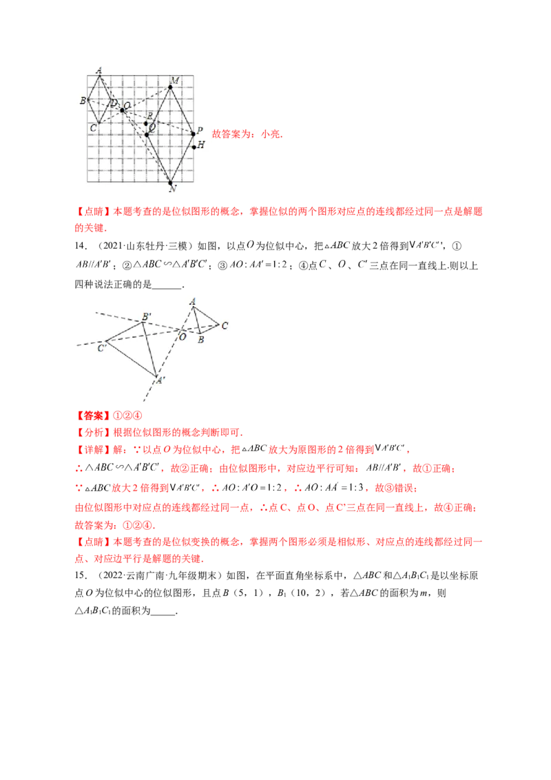 专题4.8图形的位似（解析版）_北师大初中数学_9上-北师大版初中数学_06专项讲练_高频考点2022-2023学年九年级数学上册同步高频考点专题突破（北师大版）