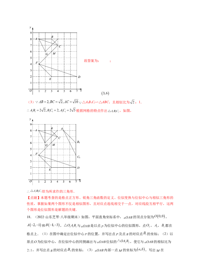 专题4.8图形的位似（解析版）_北师大初中数学_9上-北师大版初中数学_06专项讲练_高频考点2022-2023学年九年级数学上册同步高频考点专题突破（北师大版）