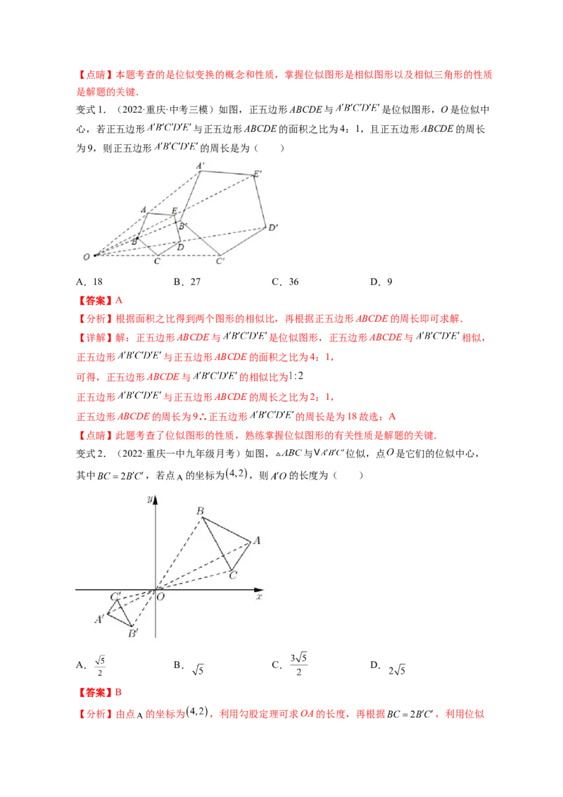专题4.8图形的位似（解析版）_北师大初中数学_9上-北师大版初中数学_06专项讲练_高频考点2022-2023学年九年级数学上册同步高频考点专题突破（北师大版）