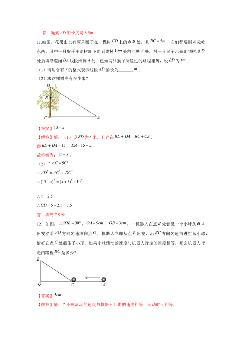 专题1.3勾股定理应用（专项训练）-2022-2023学年八年级数学上册《同步考点解读&bull;专题训练》（北师大版）_北师大初中数学_8上-北师大版初中数学_旧版_06专项讲练