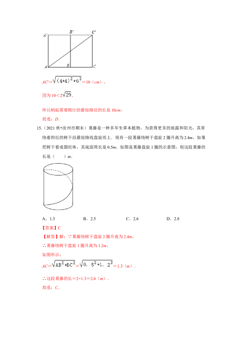 专题1.3勾股定理应用（专项训练）-2022-2023学年八年级数学上册《同步考点解读&bull;专题训练》（北师大版）_北师大初中数学_8上-北师大版初中数学_旧版_06专项讲练