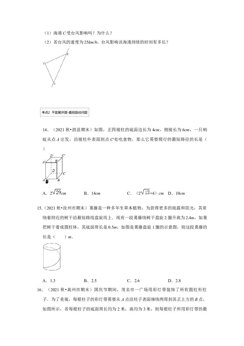 专题1.3勾股定理应用（专项训练）-2022-2023学年八年级数学上册《同步考点解读&bull;专题训练》（北师大版）_北师大初中数学_8上-北师大版初中数学_旧版_06专项讲练
