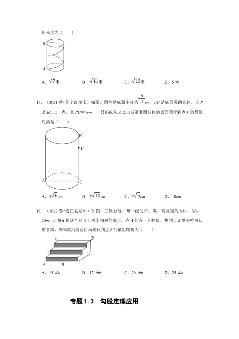 专题1.3勾股定理应用（专项训练）-2022-2023学年八年级数学上册《同步考点解读&bull;专题训练》（北师大版）_北师大初中数学_8上-北师大版初中数学_旧版_06专项讲练