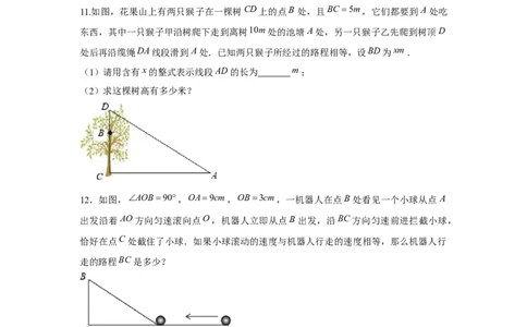 专题1.3勾股定理应用（专项训练）-2022-2023学年八年级数学上册《同步考点解读&bull;专题训练》（北师大版）_北师大初中数学_8上-北师大版初中数学_旧版_06专项讲练
