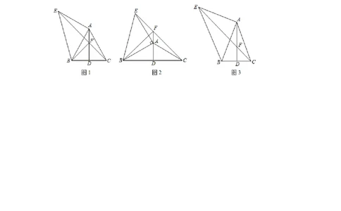 专题3.17等腰三角形背景下的旋转问题（专项练习）-八年级数学下册基础知识专项讲练（北师大版）_北师大初中数学_8下-北师大版初中数学_旧版-可参考_05习题试卷_1课时练习