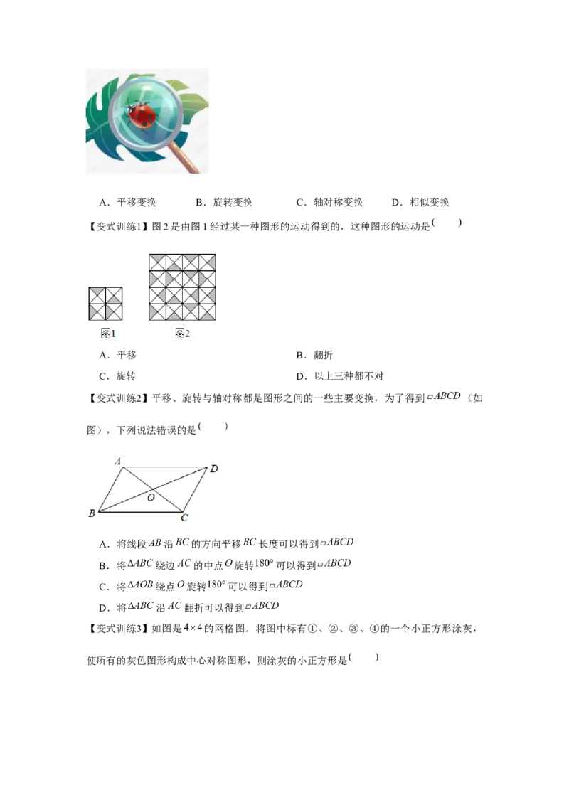 专题3.2图形的旋转（原卷版）_北师大初中数学_8下-北师大版初中数学_旧版-可参考_06专项讲练_八年级数学下册单元题型精练（基础题型+强化题型）（北师大版）