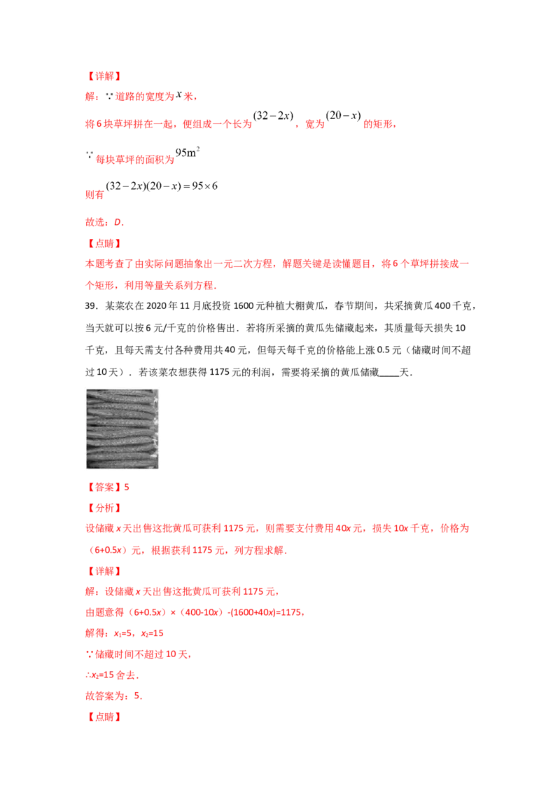专题17一元二次方程的应用(重难题型)(解析版)_北师大初中数学_9上-北师大版初中数学_06专项讲练
