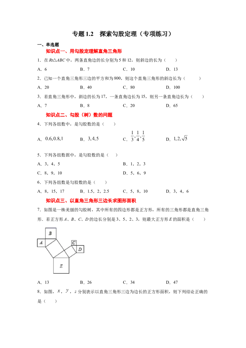 专题1.2探索勾股定理（专项练习）-2021-2022学年八年级数学上册基础知识专项讲练（北师大版）_北师大初中数学_8上-北师大版初中数学_旧版_06专项讲练