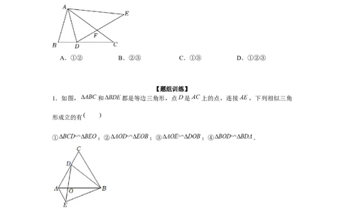 专题4.6相似三角形中的手拉手模型（强化）（原卷版）_北师大初中数学_9上-北师大版初中数学_06专项讲练