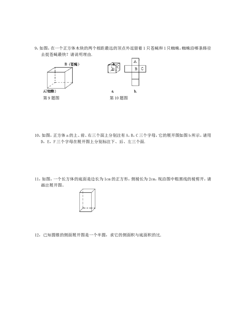 北师大版七年级数学上册第1章《丰富图形世界》同步练习及答案&mdash;1.2展开与折叠3_北师大初中数学_7上-北师大版初中数学_7上-初中数学北师大（旧版）赠送_05习题试卷_1课时练习