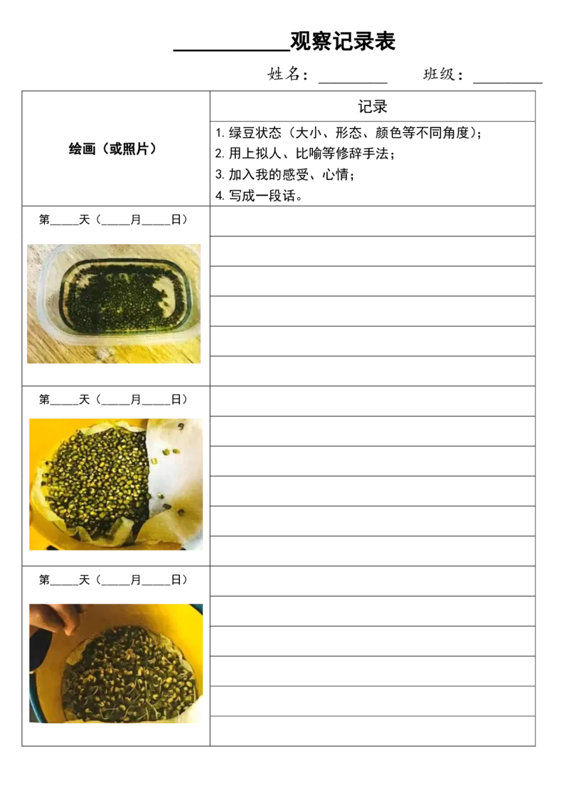 10.6四上第三单元绿豆生长观察表(1)(1)(1)_小学1-6年级常用的上册资源汇总_三年级上册资料(1)