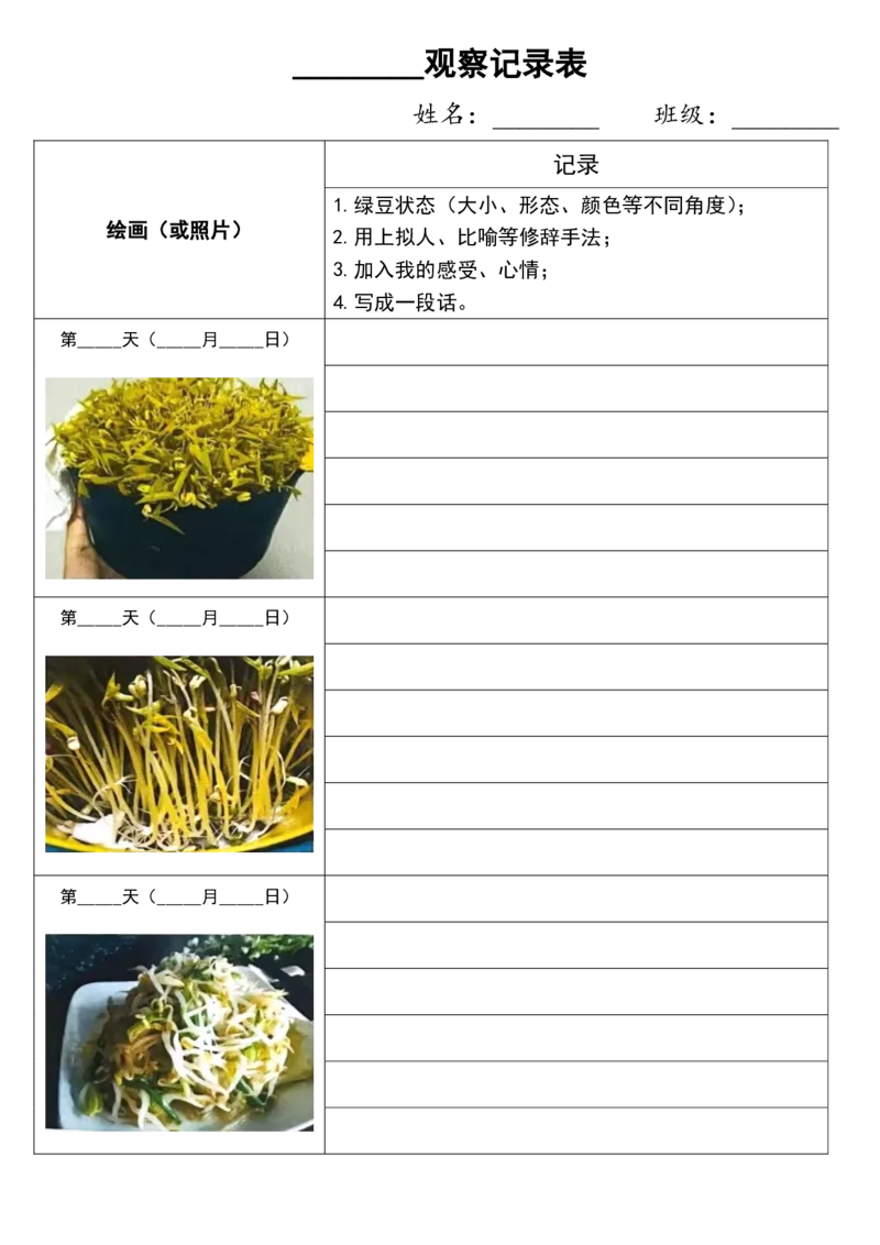 10.6四上第三单元绿豆生长观察表(1)(1)(1)_小学1-6年级常用的上册资源汇总_三年级上册资料(1)