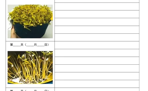 10.6四上第三单元绿豆生长观察表(1)(1)(1)_小学1-6年级常用的上册资源汇总_三年级上册资料(1)