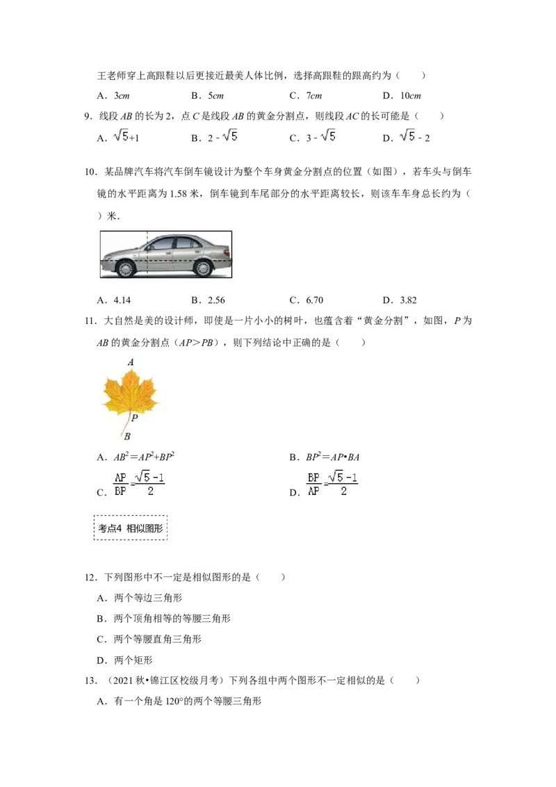 专题4.1图形的相似（专项训练）-2022-2023学年九年级数学上册《同步考点解读&bull;专题训练》（北师大版）_北师大初中数学_9上-北师大版初中数学_06专项讲练