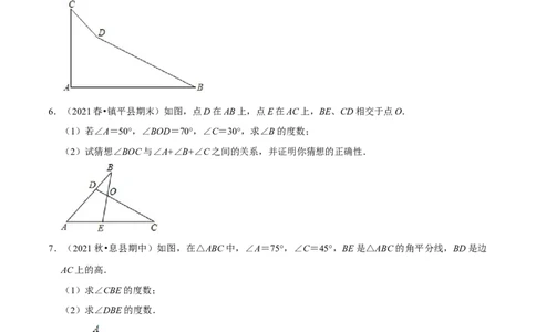 专题4.8三角形有关角的计算与证明问题（重难点培优）-七年级数学下册尖子生同步培优题典（原卷版）北师大版_北师大初中数学_7下-北师大版初中数学_05习题试卷_1课时练习