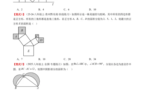 专题1.4第一章复习勾股定理（4大考点10大题型强化训练）（高效培优讲义）（学生版）_北师大初中数学_8上-北师大版初中数学_初中数学北师大8上-2025秋季新版_第二套推荐25