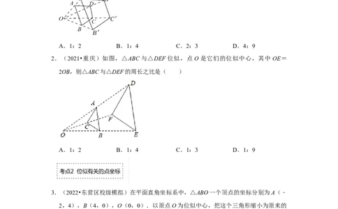 专题4.3图形的位似（专项训练）-2022-2023学年九年级数学上册《同步考点解读&bull;专题训练》（北师大版）_北师大初中数学_9上-北师大版初中数学_06专项讲练