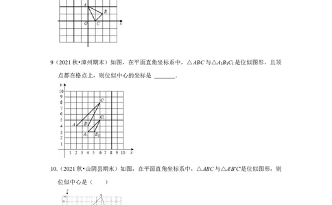 专题4.3图形的位似（专项训练）-2022-2023学年九年级数学上册《同步考点解读&bull;专题训练》（北师大版）_北师大初中数学_9上-北师大版初中数学_06专项讲练
