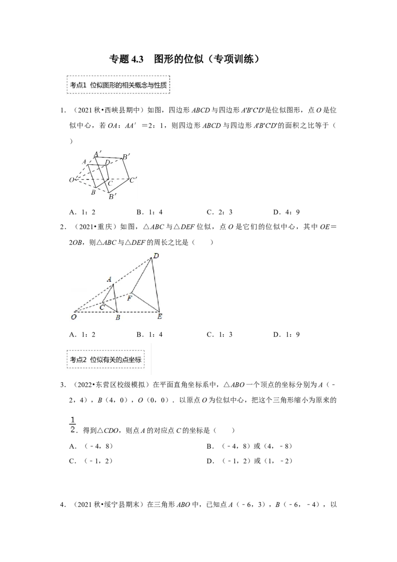 专题4.3图形的位似（专项训练）-2022-2023学年九年级数学上册《同步考点解读&bull;专题训练》（北师大版）_北师大初中数学_9上-北师大版初中数学_06专项讲练