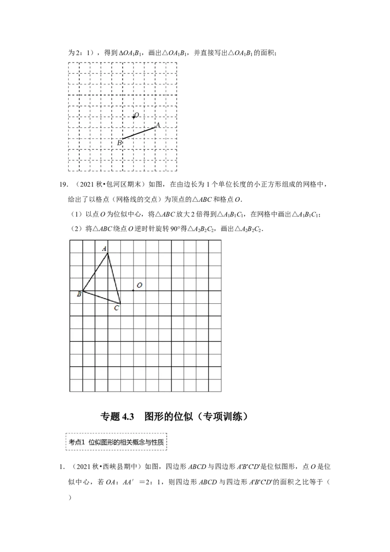 专题4.3图形的位似（专项训练）-2022-2023学年九年级数学上册《同步考点解读&bull;专题训练》（北师大版）_北师大初中数学_9上-北师大版初中数学_06专项讲练