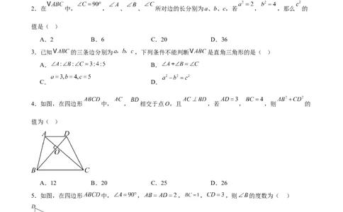 八上数学第一章勾股定理测试&middot;提升卷（考试版A4）_北师大初中数学_8上-北师大版初中数学_初中数学北师大8上-2025秋季新版_第二套推荐25_07习题试卷_单元测试卷