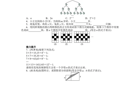 北师大版七年级数学上册第3章《整式及其加减》同步练习及答案&mdash;3.1字母表示数1_北师大初中数学_7上-北师大版初中数学_7上-初中数学北师大（旧版）赠送_05习题试卷_1课时练习