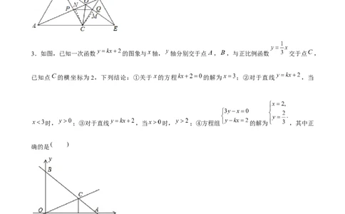 专题21期末满分突破压轴题精选1（解析版）-重难点突破2021-2022学年八年级数学上册常考题专练（北师大版）_北师大初中数学_8上-北师大版初中数学_旧版_06专项讲练