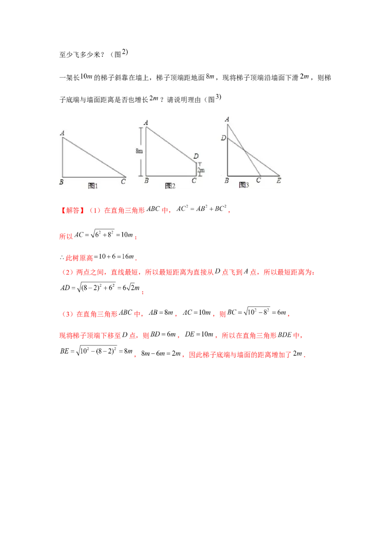 专题1.5雷劈模型（强化）（解析版）_北师大初中数学_8上-北师大版初中数学_旧版_06专项讲练_题型分层练2022-2023学年八年级数学上册单元题型精练（基础题型+强化题型）（北师大版）