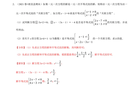 专题2.11不等式（组）的新定义问题大题专练（重难点培优）-八年级数学下册尖子生同步培优题典（解析版）北师大版_北师大初中数学_8下-北师大版初中数学_旧版-可参考_05习题试卷